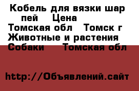 Кобель для вязки шар-пей. › Цена ­ 4 000 - Томская обл., Томск г. Животные и растения » Собаки   . Томская обл.